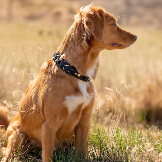 Enfärgat Halvstryp Svart