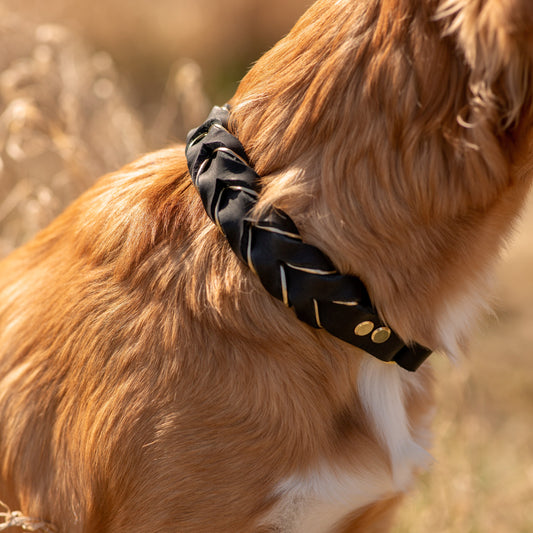 Enfärgat Svart Fast halsband 42cm