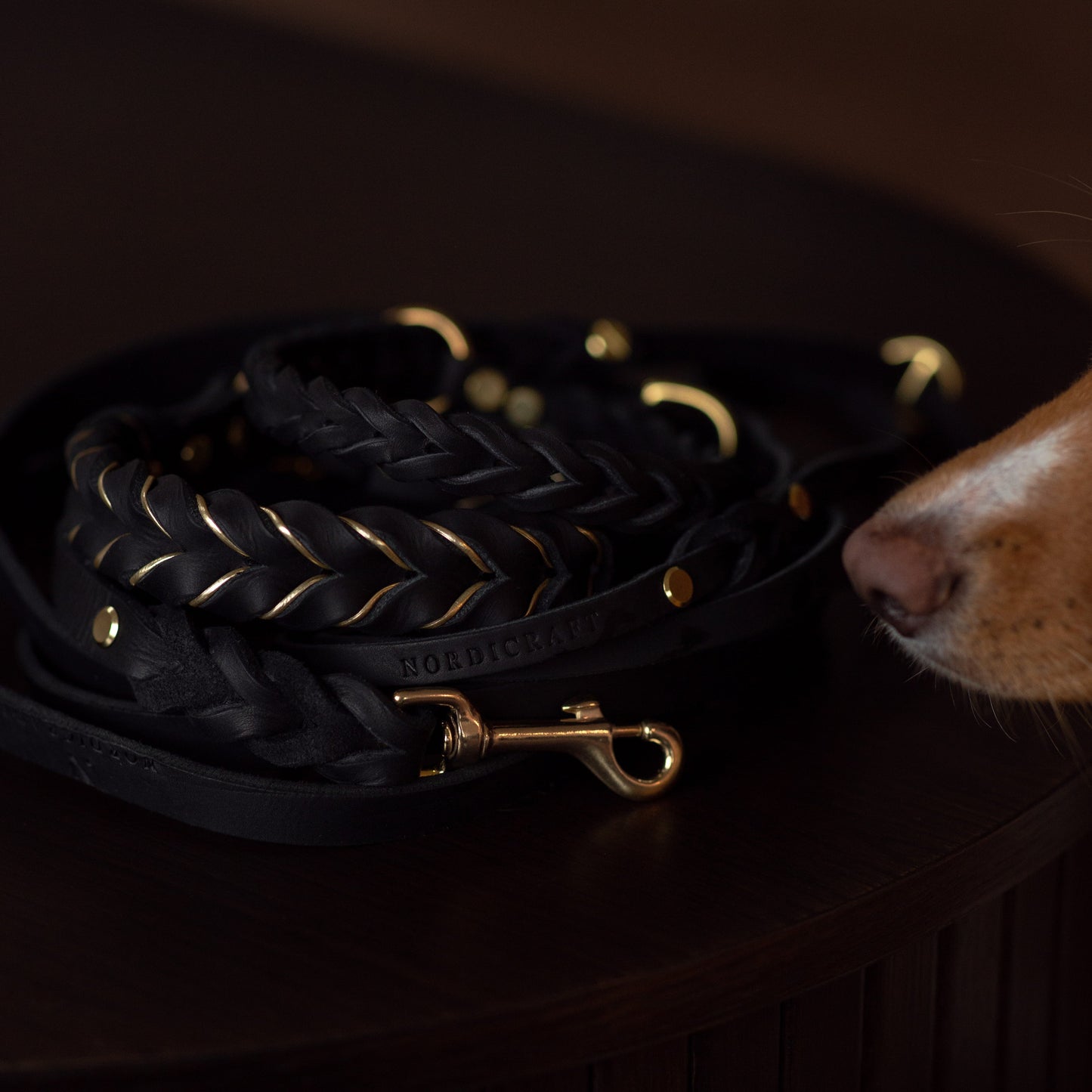 Halsband & Koppel - Svart Set 10 mm