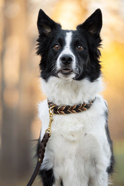 Halvstryp - Brun & Nougat 32cm