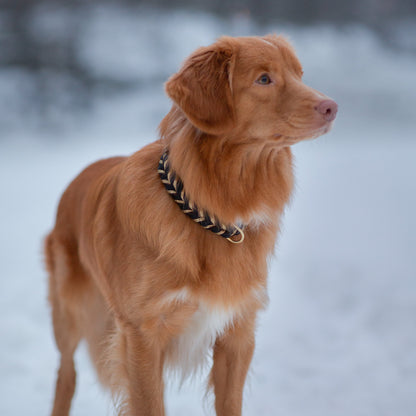 Enfärgat Fast halsband Brunt
