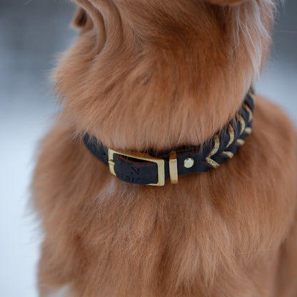 Enfärgat Fast halsband Brunt