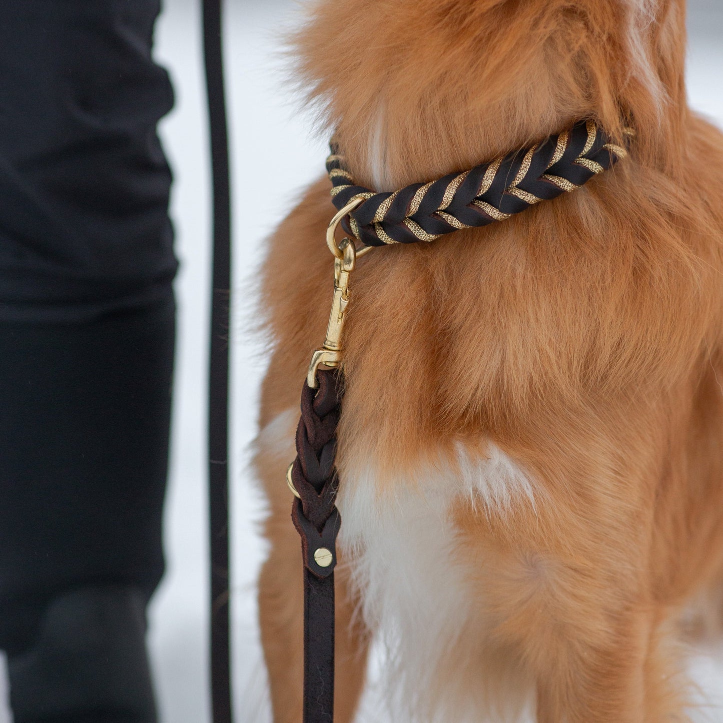 Enfärgat Fast halsband Brunt