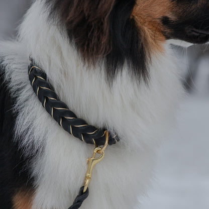 Enfärgat Fast halsband Svart
