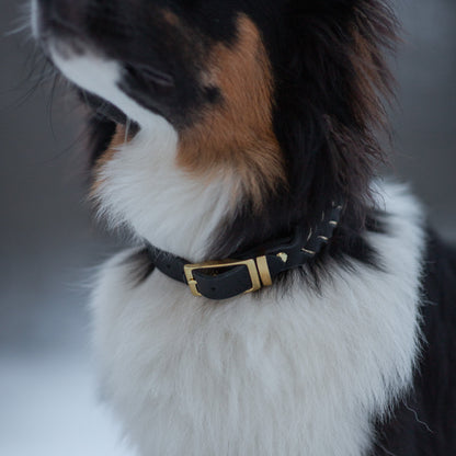 Enfärgat Fast halsband Svart