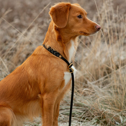 Retrieverkoppel Svart
