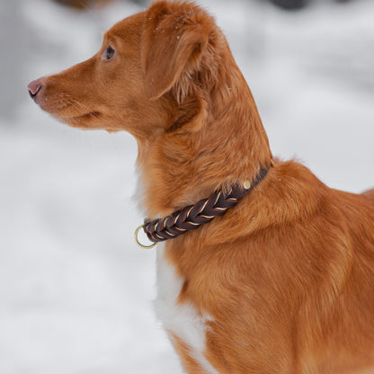 Fast halsband - Brunt med smalt guldband 33+7