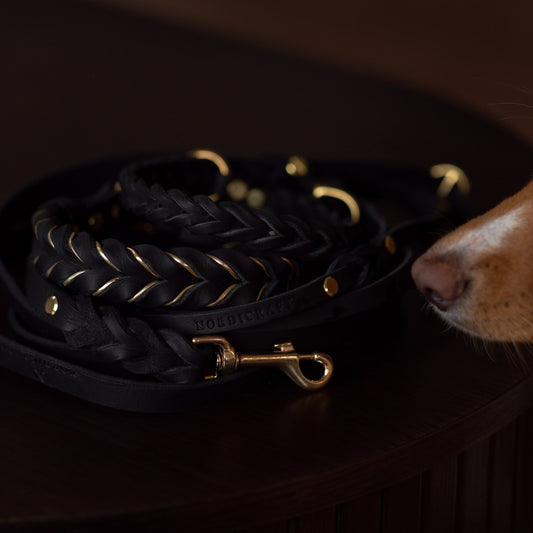 Halsband & Koppel - Svart Set 10 mm